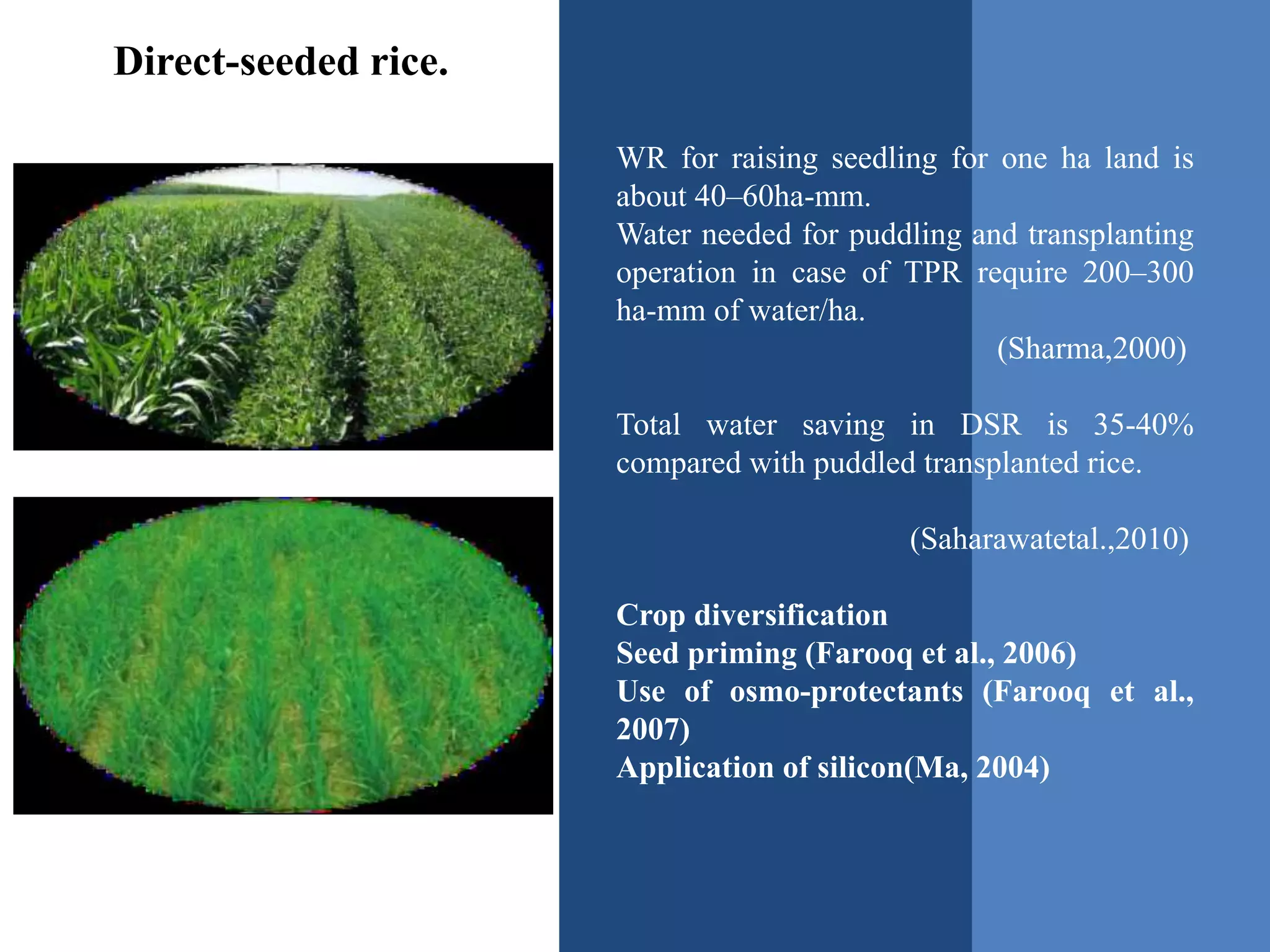 Direct-seeded rice.
WR for raising seedling for one ha land is
about 40–60ha-mm.
Water needed for puddling and transplanting
operation in case of TPR require 200–300
ha-mm of water/ha.
(Sharma,2000)
Total water saving in DSR is 35-40%
compared with puddled transplanted rice.
(Saharawatetal.,2010)
Crop diversification
Seed priming (Farooq et al., 2006)
Use of osmo-protectants (Farooq et al.,
2007)
Application of silicon(Ma, 2004)
 