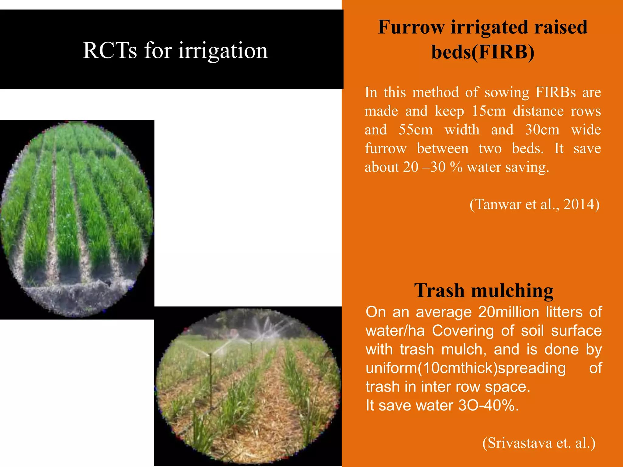 Furrow irrigated raised
beds(FIRB)
In this method of sowing FIRBs are
made and keep 15cm distance rows
and 55cm width and 30cm wide
furrow between two beds. It save
about 20 –30 % water saving.
(Tanwar et al., 2014)
Trash mulching
On an average 20million litters of
water/ha Covering of soil surface
with trash mulch, and is done by
uniform(10cmthick)spreading of
trash in inter row space.
It save water 3O-40%.
(Srivastava et. al.)
RCTs for irrigation
 
