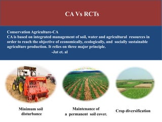 Minimum soil
disturbance
Maintenance of
a permanent soil cover.
Crop diversification
Conservation Agriculture-CA
CA is based on integrated management of soil, water and agricultural resources in
order to reach the objective of economically, ecologically, and socially sustainable
agriculture production. It relies on three major principle.
-Jat et. al
CA Vs RCTs
 