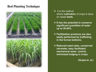 Bed Planting Technique
 It is the method
where cultivation of crops is done
on raised beds.
 It has the potential to conserve
significant quantities of water
up to 30-50%.
 Fertilization practices are also
easily performed by trafficking
in the furrow bottoms.
 Reduced seed rates, conserved
rainwater, easy facilitated
mechanical weed control,
minimized lodging in crops.
(Gupta et. al.)
 