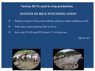Various RCTs used in crop production.
SYSTEM OF RICE INTENSIFICATION
 Planting young (8-10 days) old seedlings, planting a single seedlings per hills.
 Wider space square planting 20cm to 20 cm.
 Save water 15-30% and WUE about 5.7-5.8 kg/ha-mm.
(Das et. al.)
 