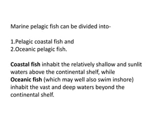 Marine pelagic fish can be divided into-
1.Pelagic coastal fish and
2.Oceanic pelagic fish.
Coastal fish inhabit the relatively shallow and sunlit
waters above the continental shelf, while
Oceanic fish (which may well also swim inshore)
inhabit the vast and deep waters beyond the
continental shelf.
 
