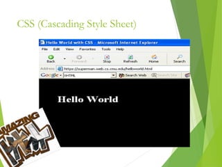 CSS (Cascading Style Sheet)
11
 