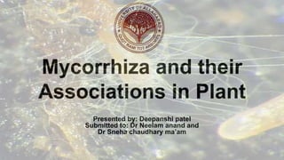 Mycorrhiza and their
Associations in Plant
Presented by: Deepanshi patel
Submitted to: Dr Neelam anand and
Dr Sneha chaudhary ma’am
 