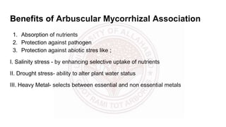 Benefits of Arbuscular Mycorrhizal Association
1. Absorption of nutrients
2. Protection against pathogen
3. Protection against abiotic stres like ;
I. Salinity stress - by enhancing selective uptake of nutrients
II. Drought stress- ability to alter plant water status
III. Heavy Metal- selects between essential and non essential metals
 