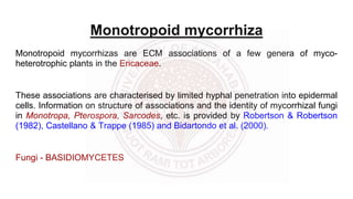 Monotropoid mycorrhiza
Monotropoid mycorrhizas are ECM associations of a few genera of myco-
heterotrophic plants in the Ericaceae.
These associations are characterised by limited hyphal penetration into epidermal
cells. Information on structure of associations and the identity of mycorrhizal fungi
in Monotropa, Pterospora, Sarcodes, etc. is provided by Robertson & Robertson
(1982), Castellano & Trappe (1985) and Bidartondo et al. (2000).
Fungi - BASIDIOMYCETES
 
