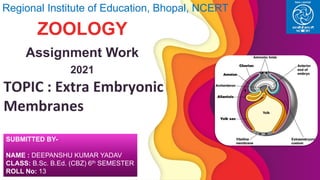 TOPIC : Extra Embryonic
Membranes
Regional Institute of Education, Bhopal, NCERT
ZOOLOGY
Assignment Work
2021
SUBMITTED BY-
NAME : DEEPANSHU KUMAR YADAV
CLASS: B.Sc. B.Ed. (CBZ) 6th SEMESTER
ROLL No: 13
 