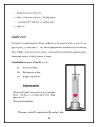 Fluids Putrid Deepanshu project | PDF