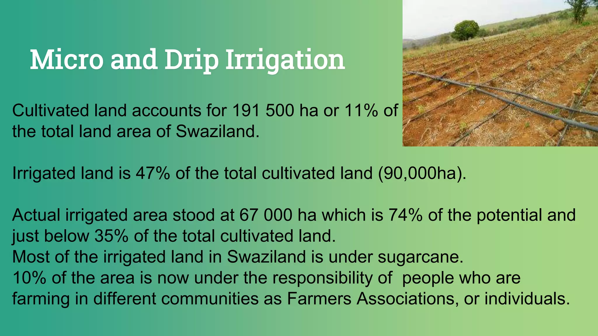 Micro and Drip Irrigation
Cultivated land accounts for 191 500 ha or 11% of
the total land area of Swaziland.
Irrigated land is 47% of the total cultivated land (90,000ha).
Actual irrigated area stood at 67 000 ha which is 74% of the potential and
just below 35% of the total cultivated land.
Most of the irrigated land in Swaziland is under sugarcane.
10% of the area is now under the responsibility of people who are
farming in different communities as Farmers Associations, or individuals.
 