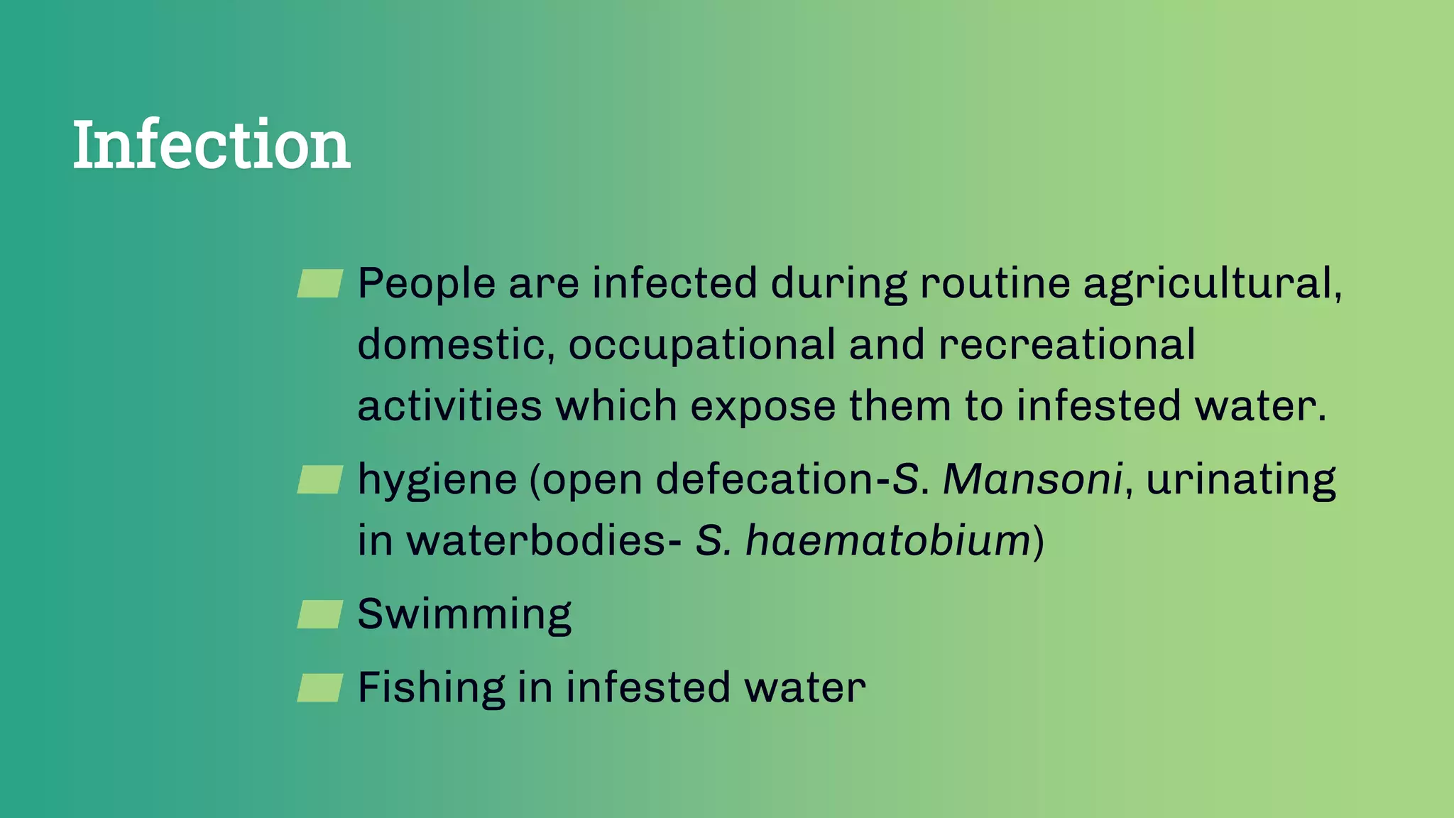 Infection
▰ People are infected during routine agricultural,
domestic, occupational and recreational
activities which expose them to infested water.
▰ hygiene (open defecation-S. Mansoni, urinating
in waterbodies- S. haematobium)
▰ Swimming
▰ Fishing in infested water
 