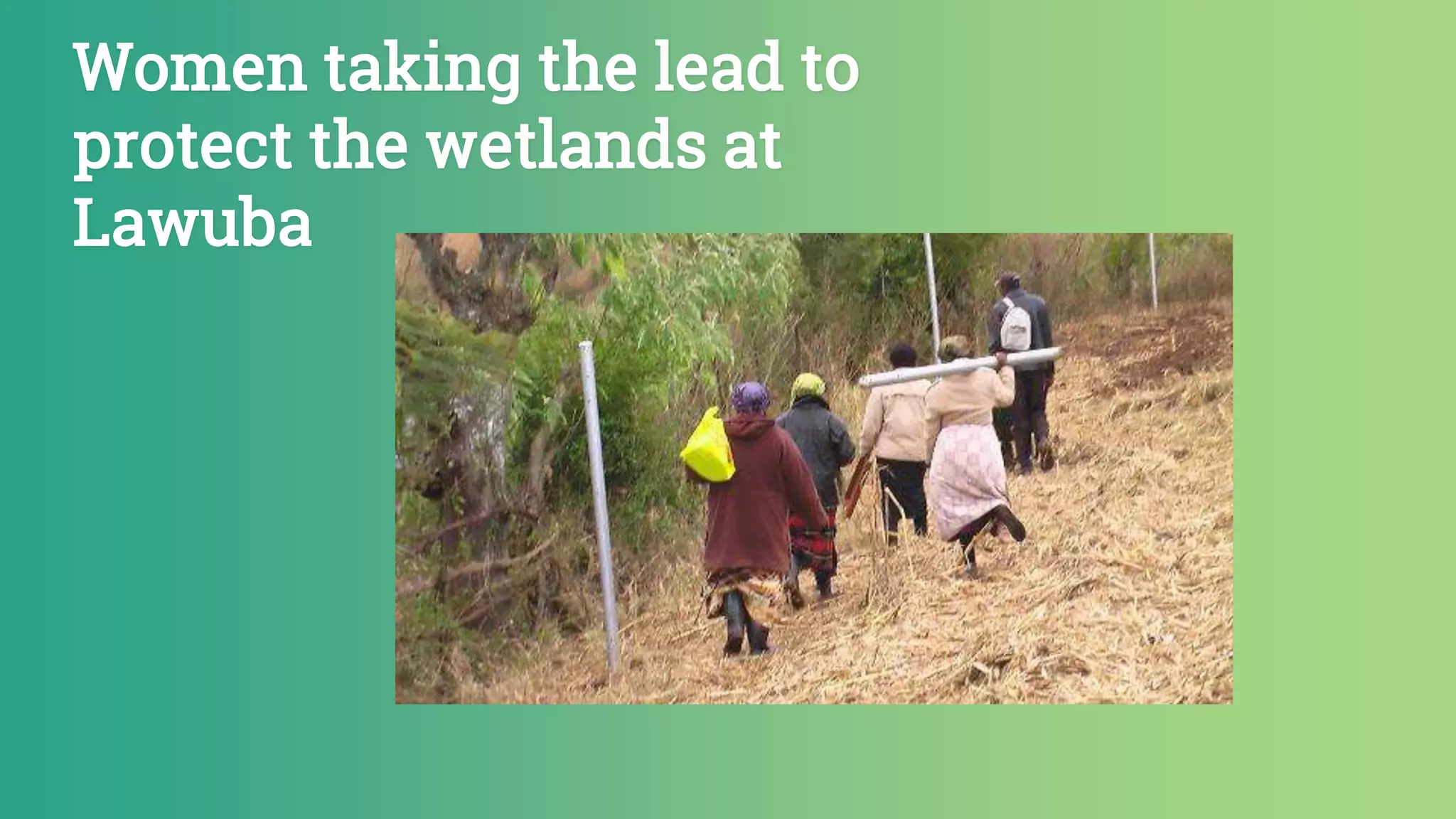 Women taking the lead to
protect the wetlands at
Lawuba
 
