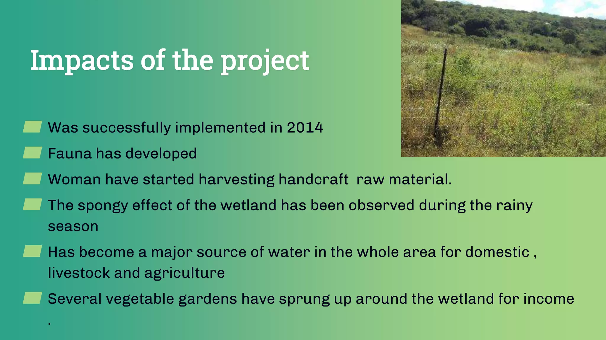 Impacts of the project
▰ Was successfully implemented in 2014
▰ Fauna has developed
▰ Woman have started harvesting handcraft raw material.
▰ The spongy effect of the wetland has been observed during the rainy
season
▰ Has become a major source of water in the whole area for domestic ,
livestock and agriculture
▰ Several vegetable gardens have sprung up around the wetland for income
.
 