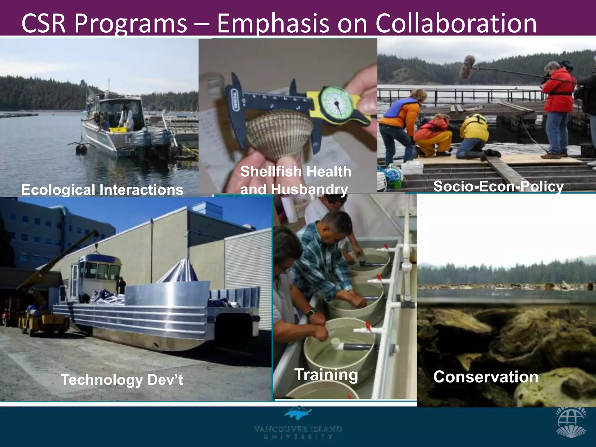 CSR Programs – Emphasis on Collaboration



                          Shellfish Health
Ecological Interactions   and Husbandry      Socio-Econ-Policy




     Technology Dev’t
      Communications             Training    Conservation
 