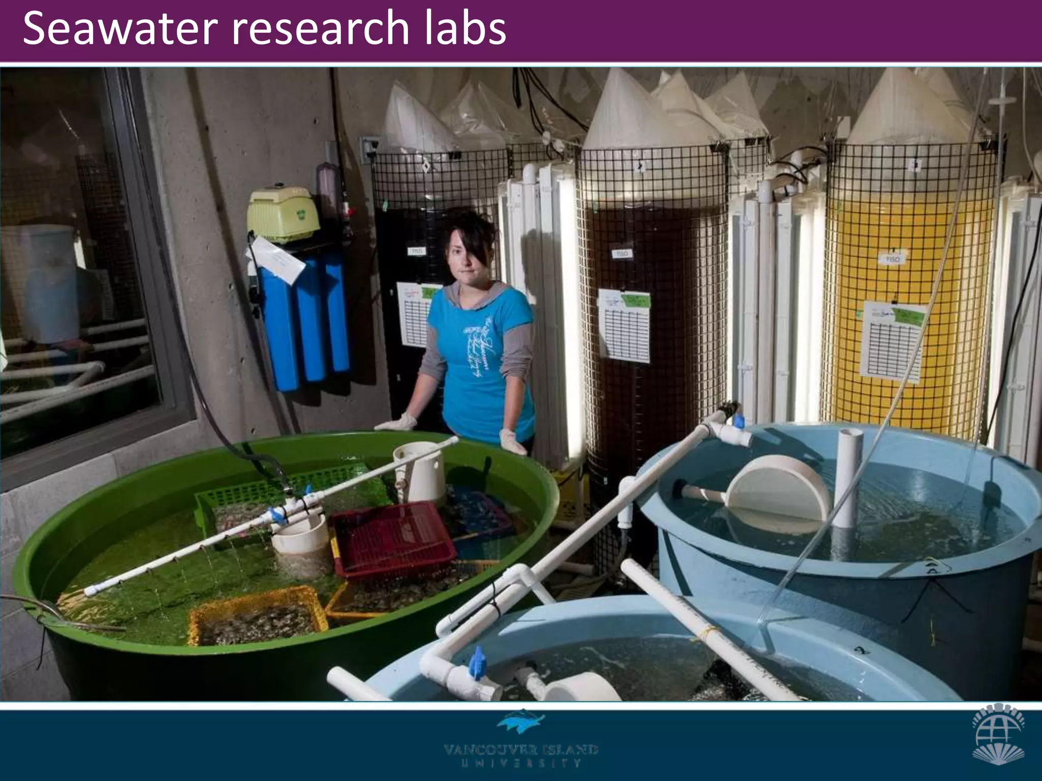 Seawater research labs
 