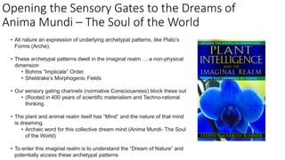 Opening the Sensory Gates to the Dreams of
Anima Mundi – The Soul of the World
• All nature an expression of underlying ar...