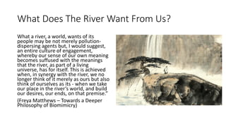 What Does The River Want From Us?
What a river, a world, wants of its
people may be not merely pollution-
dispersing agent...