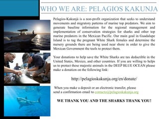 WHO WE ARE: PELAGIOS KAKUNJA
Pelagios-Kakunjá is a non-profit organization that seeks to understand
movements and migrator...