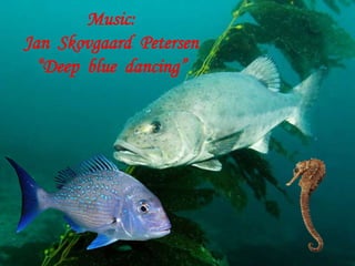 Music: Jan  Skovgaard  Petersen “Deep  blue  dancing”