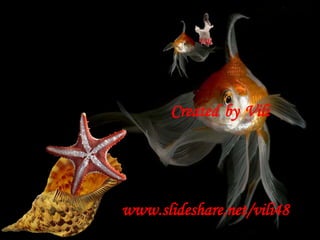CreatedbyViliwww.slideshare.net/vili48