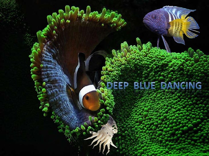 Deep  blue  dancing<br />