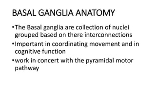BASAL GANGLIA ANATOMY
•The Basal ganglia are collection of nuclei
grouped based on there interconnections
•Important in coordinating movement and in
cognitive function
•work in concert with the pyramidal motor
pathway
 