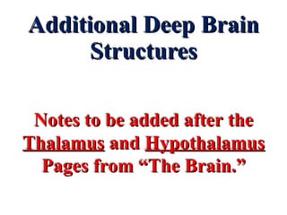 Additional Deep Brain Structures Notes to be added after the  Thalamus  and  Hypothalamus Pages from “The Brain.” 