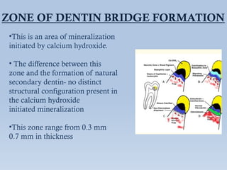 DEEP CARIES MANAGEMENT Dr. Satavisha Post Graduate Student , Department ...