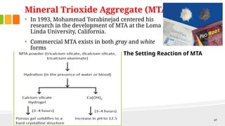 Mta Rsetting Reaction deep cariesmanagement presentation.pg level presentation. | PPTX