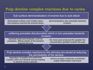 Pulp dentine complex reactions due to caries
Pulp dentine complex reactions to this stimulus are aimed at reducing
the permeability of the dentine.
deposition of apatite and whitlockite
crystals within the dentinal tubules leading
to dentine tubule sclerosis.
carious process continues unchecked
pulpal inflammation will ensue
softening precedes discolouration which in turn precedes bacterial
invasion.
bacterial acids and products, such as
proteases, diffuse ahead of the bacteria
towards the pulp
the more acid produced the greater the
concentration gradient toward the pulp
Sub surface demineralization of enamel due to acid attack
Mineralised surface zone breaks down,
that bacteria colonize the enamel lesion
demineralisation also precedes bacterial
invasion.
 
