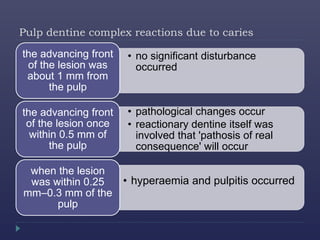 Pulp dentine complex reactions due to caries
• no significant disturbance
occurred
the advancing front
of the lesion was
about 1 mm from
the pulp
• pathological changes occur
• reactionary dentine itself was
involved that 'pathosis of real
consequence' will occur
the advancing front
of the lesion once
within 0.5 mm of
the pulp
• hyperaemia and pulpitis occurred
when the lesion
was within 0.25
mm–0.3 mm of the
pulp
 