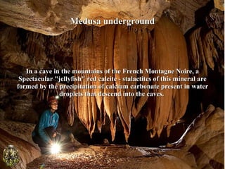 Medusa underground




   In a cave in the mountains of the French Montagne Noire, a
 Spectacular "jellyfish" red calcite - stalactites of this mineral are
formed by the precipitation of calcium carbonate present in water
               droplets that descend into the caves.
 