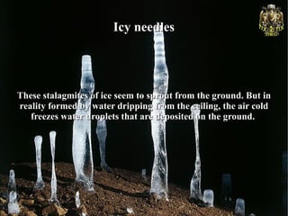 Icy needles




These stalagmites of ice seem to sprout from the ground. But in
reality formed by water dripping from the ceiling, the air cold
   freezes water droplets that are deposited on the ground.
 
