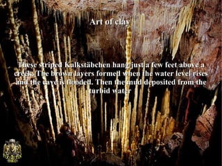Art of clay



 These striped Kalkstäbchen hang just a few feet above a
creek. The brown layers formed when the water level rises
and the cave is flooded. Then the mud deposited from the
                      turbid water
 