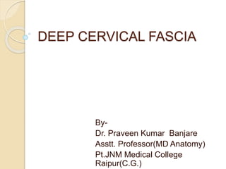 DEEP CERVICAL FASCIA
By-
Dr. Praveen Kumar Banjare
Asstt. Professor(MD Anatomy)
Pt.JNM Medical College
Raipur(C.G.)
 