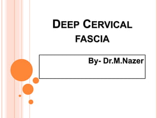 DEEP CERVICAL
FASCIA
By- Dr.M.Nazer
 