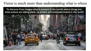 Vision is much more than understanding what is where
 