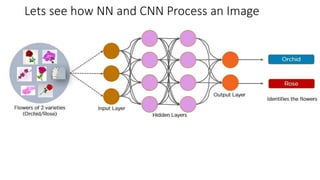 Lets see how NN and CNN Process an Image
 