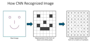 How CNN Recognized Image
 