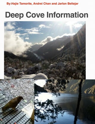 By:Hajie Tamorite, Andrei Chan and Jarlon Beltejar

Deep Cove Information

 