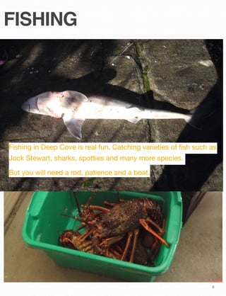 FISHING

Fishing in Deep Cove is real fun. Catching varieties of ﬁsh such as
Jock Stewart, sharks, spotties and many more species.
But you will need a rod, patience and a boat.

8

 