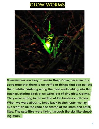 GLOW WORMS

Glow worms are easy to see in Deep Cove, because it is
so remote that there is no trafﬁc or things that can pollute
their habitat. Walking along the road and looking into the
bushes, staring back at us were lots of tiny glow worms.
They were sitting in the middle of the bushes and trees.
When we were about to head back to the hostel we lay
like starﬁsh on the road and stared at the stars and satellites. The satellites were ﬂying through the sky like shooting stars.
10

 