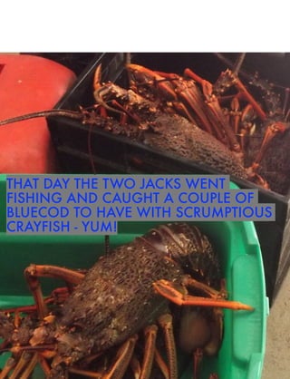 THAT DAY THE TWO JACKS WENT
FISHING AND CAUGHT A COUPLE OF
BLUECOD TO HAVE WITH SCRUMPTIOUS
CRAYFISH - YUM!

 