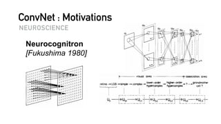 ConvNet : Motivations
NEUROSCIENCE
 
