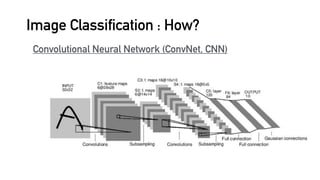 Image Classification : How?
Convolutional Neural Network (ConvNet, CNN)
 
