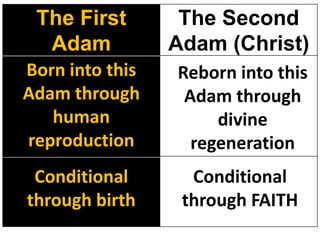 The First        The Second
  Adam           Adam (Christ)
Born into this   Reborn into this
Adam through      Adam through
   human              divine
reproduction       regeneration
 Conditional       Conditional
through birth     through FAITH
 