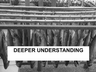 DEEPER UNDERSTANDING 
 
