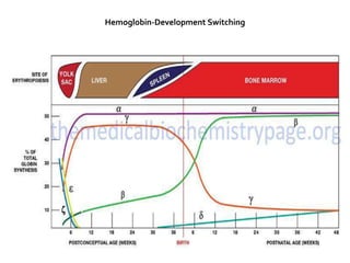 Hemoglobin-Development Switching
 
