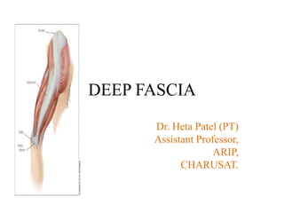DEEP FASCIA
Dr. Heta Patel (PT)
Assistant Professor,
ARIP,
CHARUSAT.
 