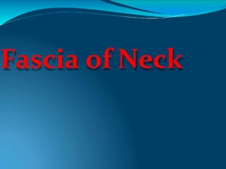 Fascia of Neck
 