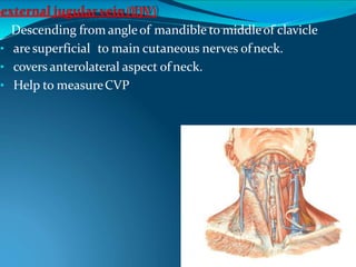 external jugular vein(EJV)
• Descending from angleof mandible to middleof clavicle
• are superficial to main cutaneous nerves ofneck.
• covers anterolateral aspect of neck.
• Help to measureCVP
 